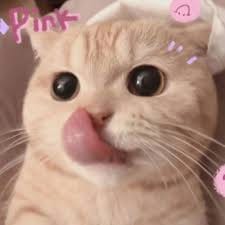 ณรงค์ฤทธิ์ แก้วมา avatar